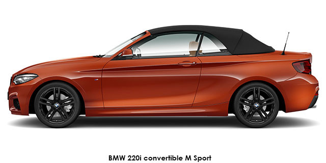 BMW 2 Series 220i convertible M Sport sports-auto BMW-220i-convertible-M-Sport--1903-s-ZA.jpg