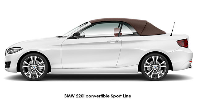 BMW 2 Series 220i convertible Sport Line sports-auto BMW-220i-convertible-Sport-Line--1903-s-ZA.jpg