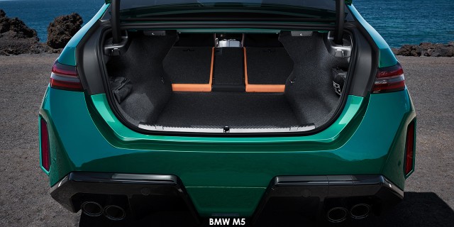 BMW M5 M5 BMW-M5-P90557501--2024.06.jpg