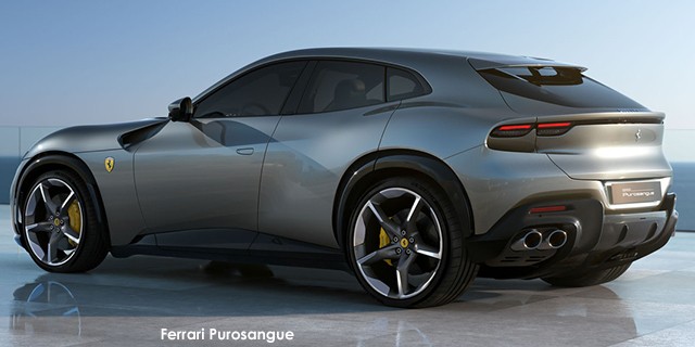 Ferrari Purosangue Purosangue Ferrari-Purosangue-gallery-rs--2022.09.jpg