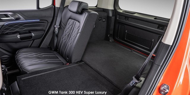 GWM Tank 300 2.0T Ultra Luxury 4x4 GWM-TANK-300-HEV-Super-Luxury-324--2024.02-za.jpg