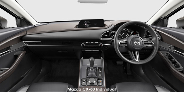 Mazda CX-30 2.0 Dynamic Mazda-CX-30_DGE4RAC_42S_D1R_INT-Individual--2021.01-za.jpg