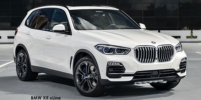 BMW X5 xDrive30d xLine P90325136_highRes_the-new-bmw-x5-xdriv--BMW-X5-xDrive30d--1810-USA.jpg